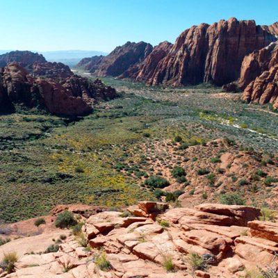 A Colorful Guide to Snow Canyon State Park: A Labyrinth of Red Rocks at the Doorstep of St. George
