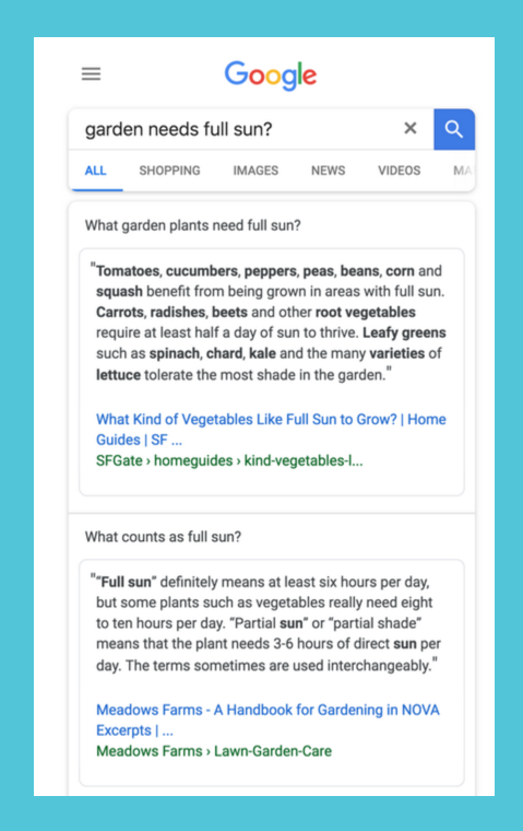 Multi-faceted featured snippet example