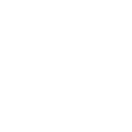 Spine Icon Image