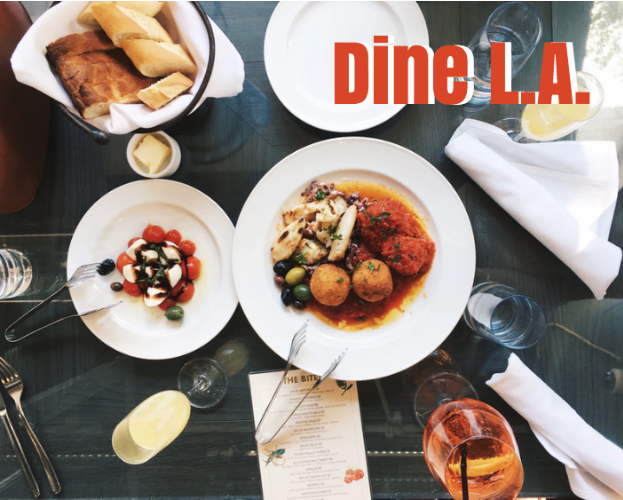 dinela 2018