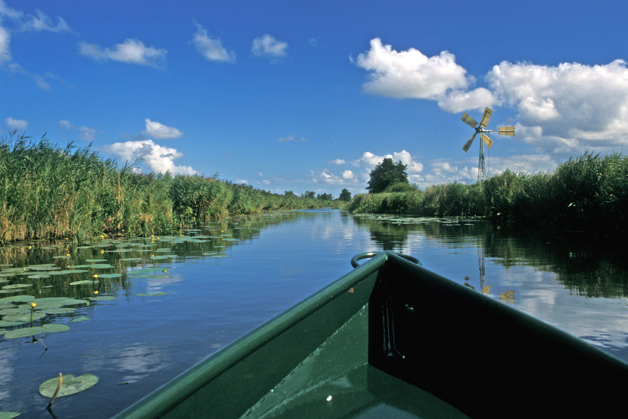 foto op water vanaf een fluisterboot genomen in Nederlands gebied met riet en waterlelies en blauwe lucht met wolkjes