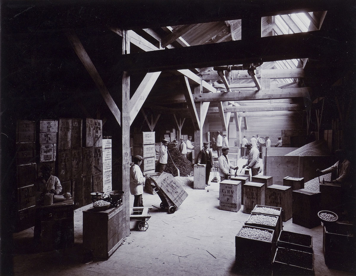 sepia foto van interieur notenpakhuis in Amsterdam rond 1900