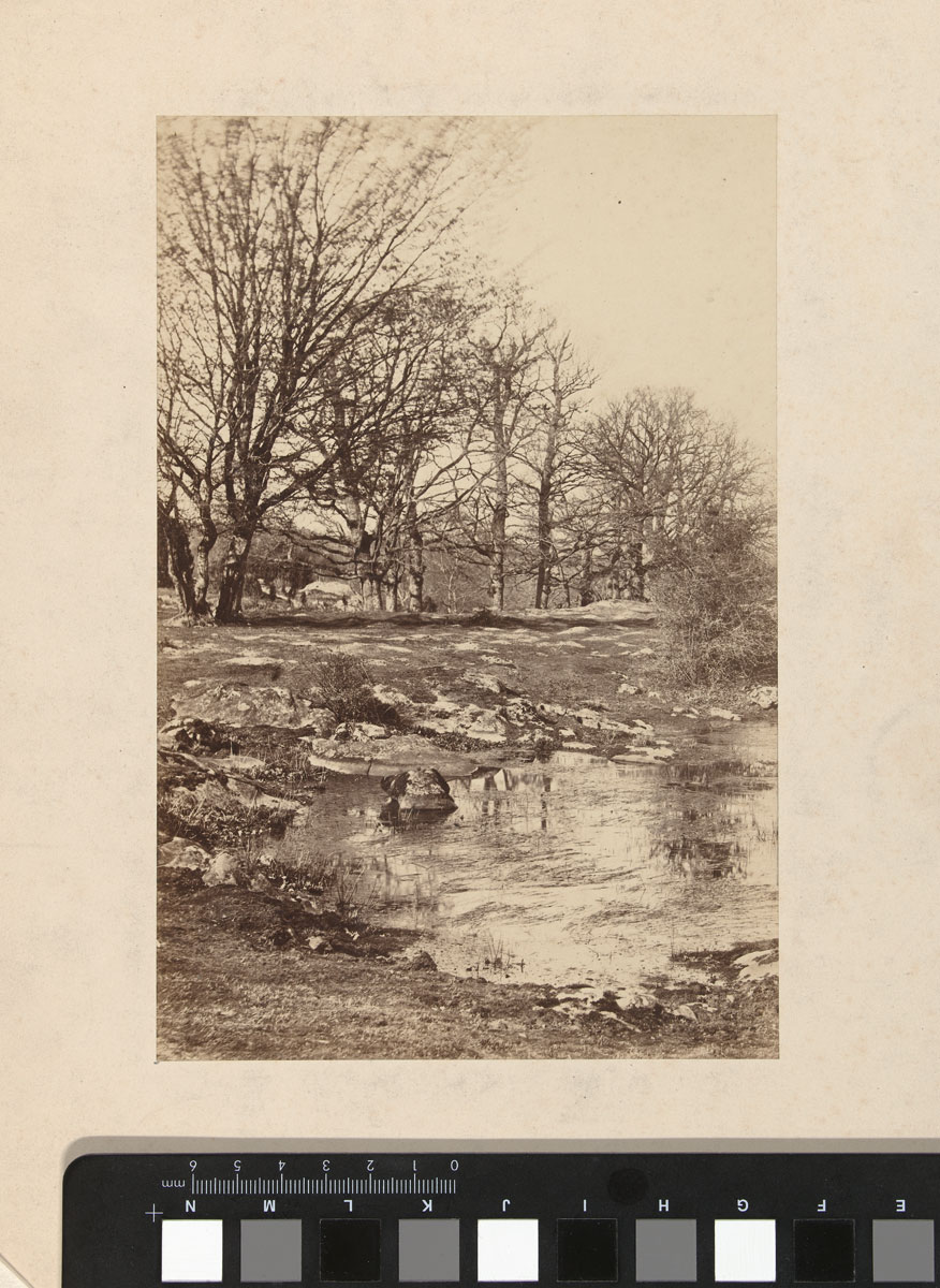 foto: Achille Quinet | Boslandschap in Fontainebleau, 1868-1875