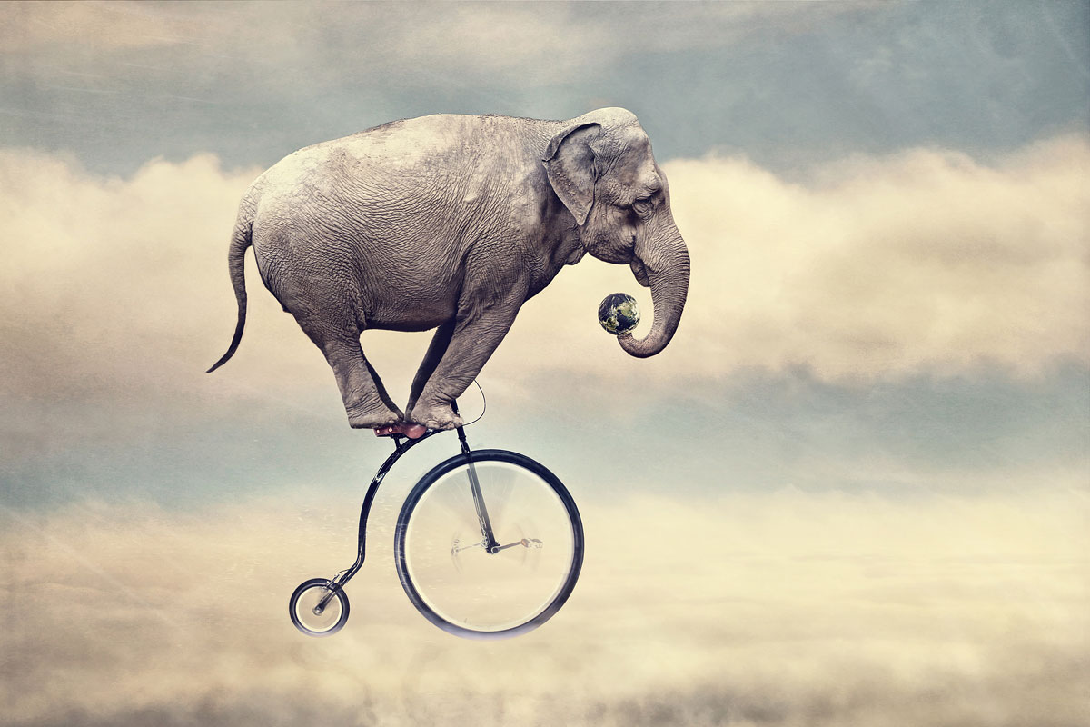 surrealistische foto van een olifant op een circusfiets in de wolken