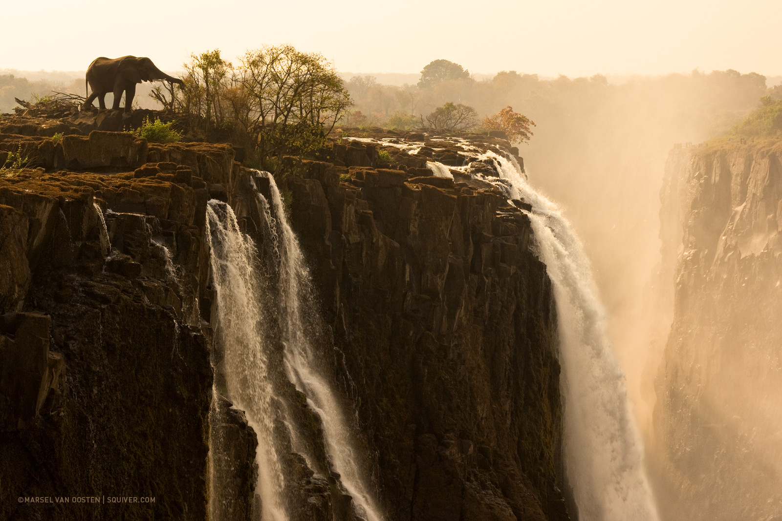 foto van Marsel van Oosten van olifant bij waterval