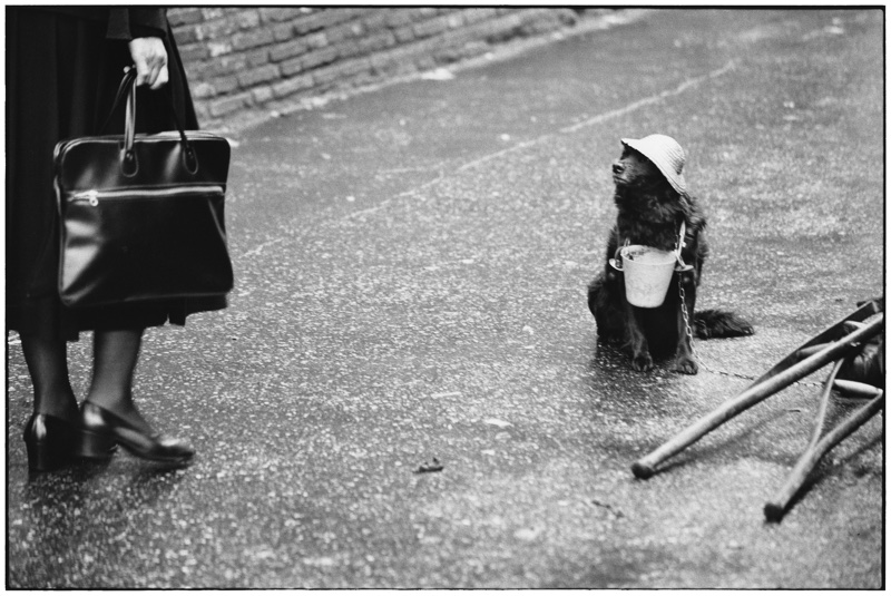 zwartwit foto van Erwitt Elliott van aapje met mutsje en bekertje om nek op straat die omhoogkijkt naar vrouw met tas en schoenen en hakken