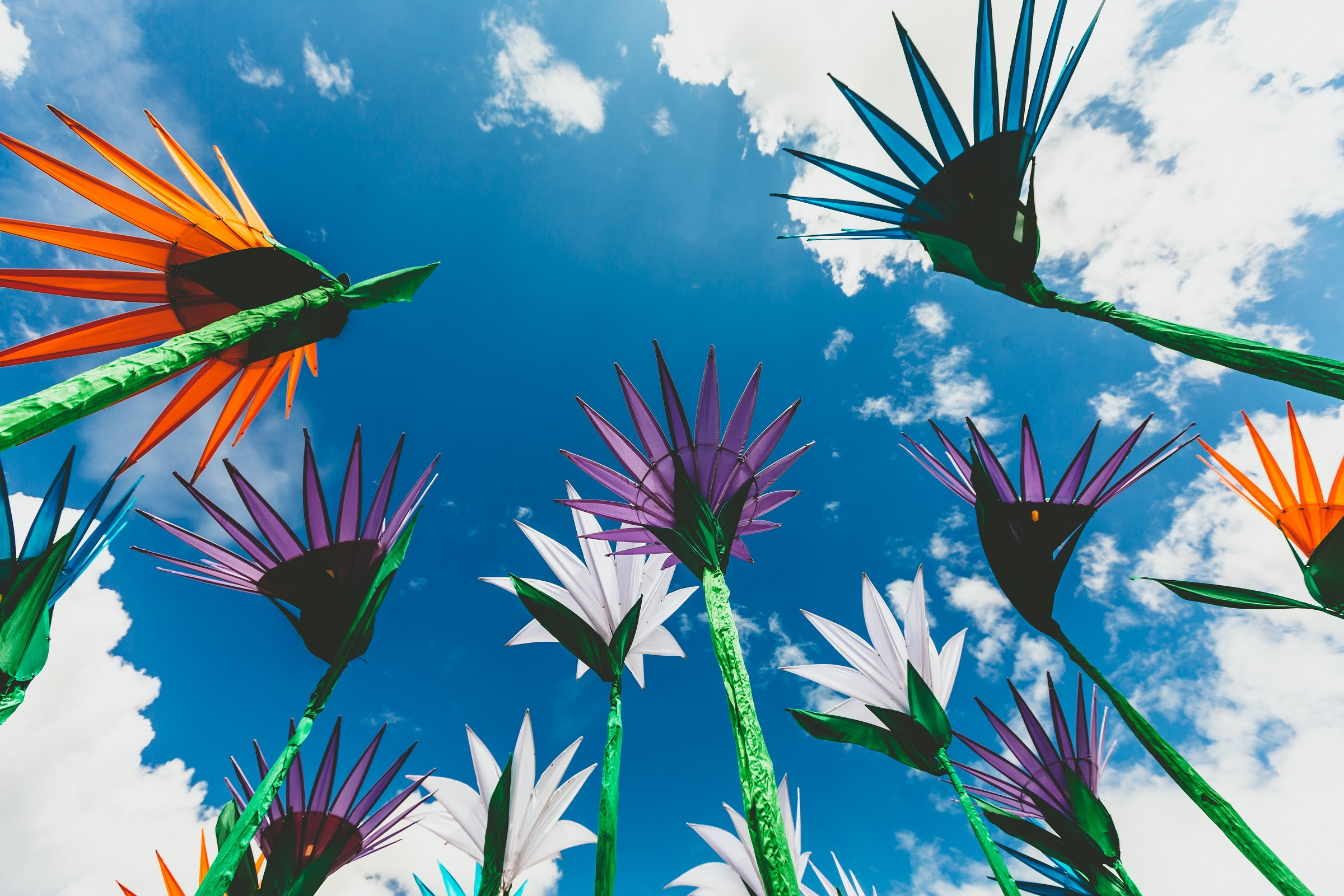 foto van papieren bloemen van onderaf en lucht met blauw en witte wolken