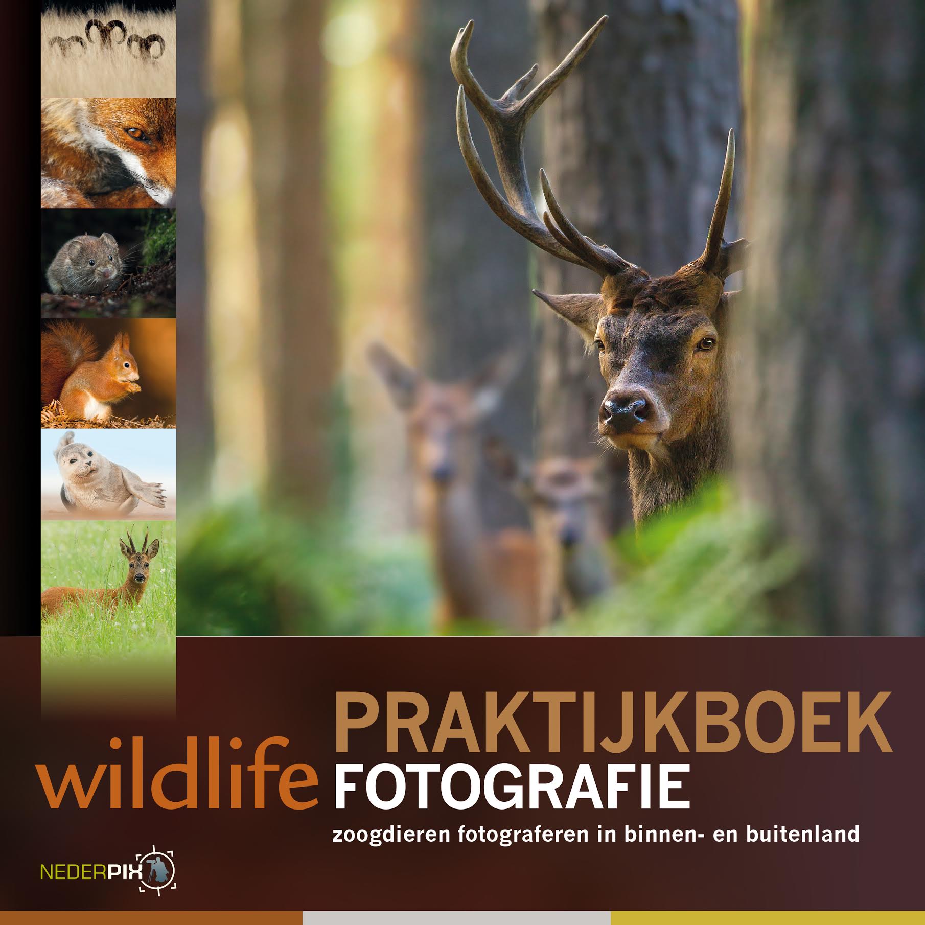 coverfoto van Praktijkboek Wildlifefotografie