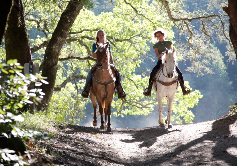 twee vrouwen op paard in zomers bos