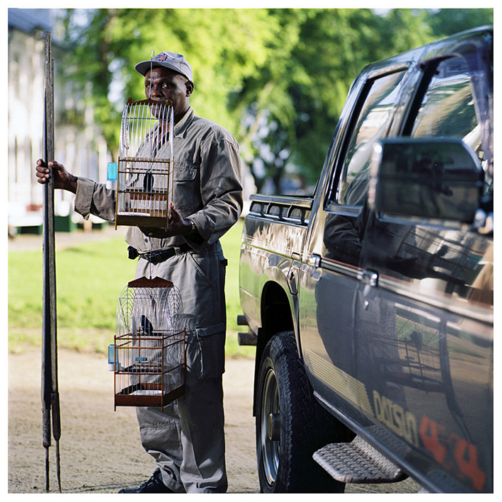 foto: © Jacquie Maria Wessels - Birdmen