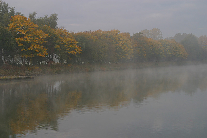foto: Aaldrik Pot, bomen in mist aan rivier
