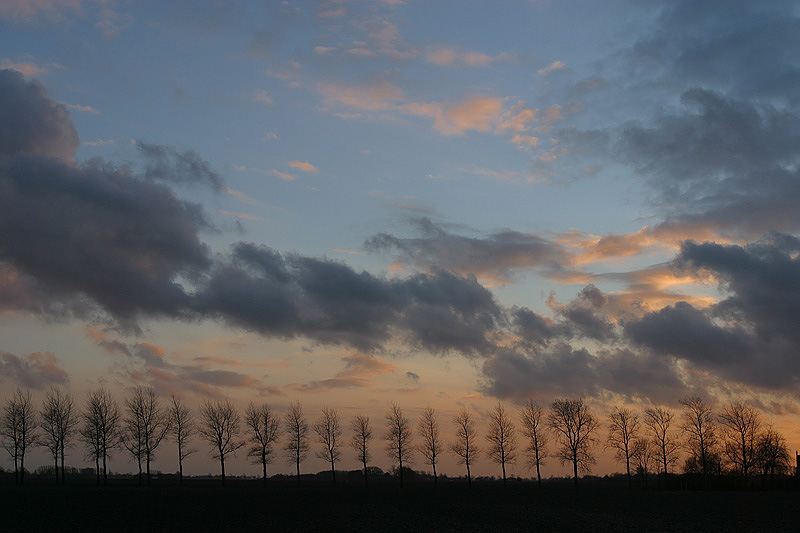 foto: Aaldrik Pot, bomen in silhouet tegen wolkenlucht