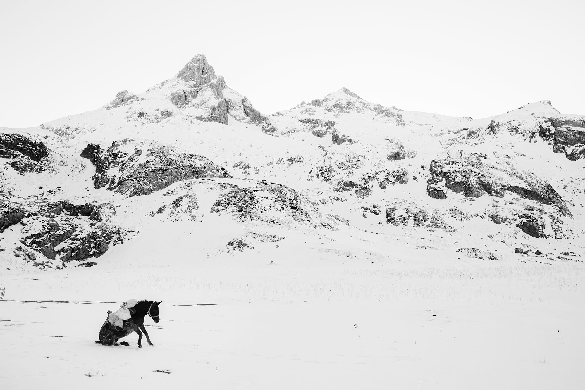 foto: © Frederik Buyckx, Photographer of the Year, 2017 Sony World Photography Awards | Uit de serie: Whiteout