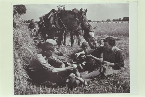 foto: Martien Coppens / Brabant-Collectie/UvT | Het hele gezin aan de oogst