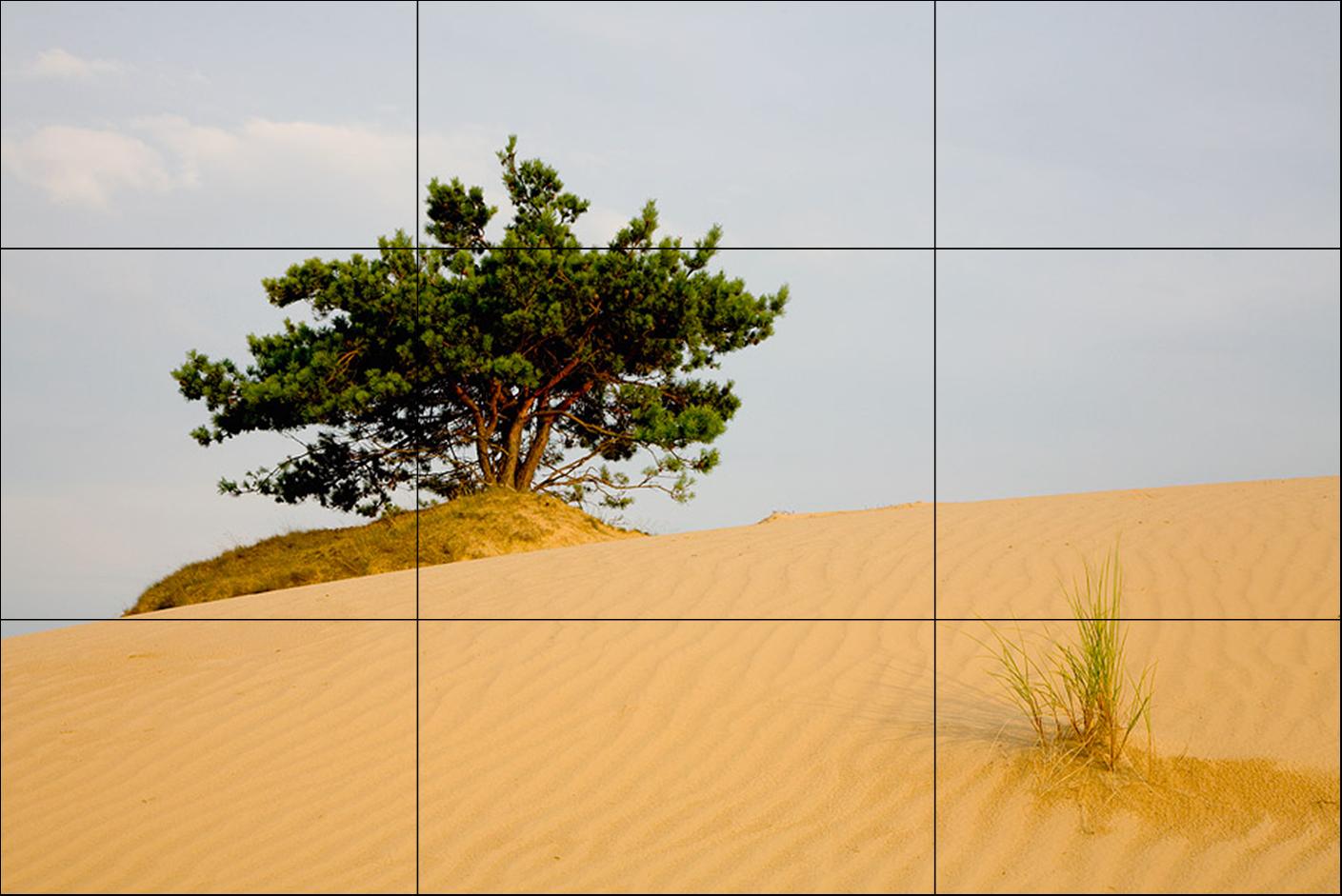 foto: Hillebrand Breuker | Kale Duinen bij Appelscha.