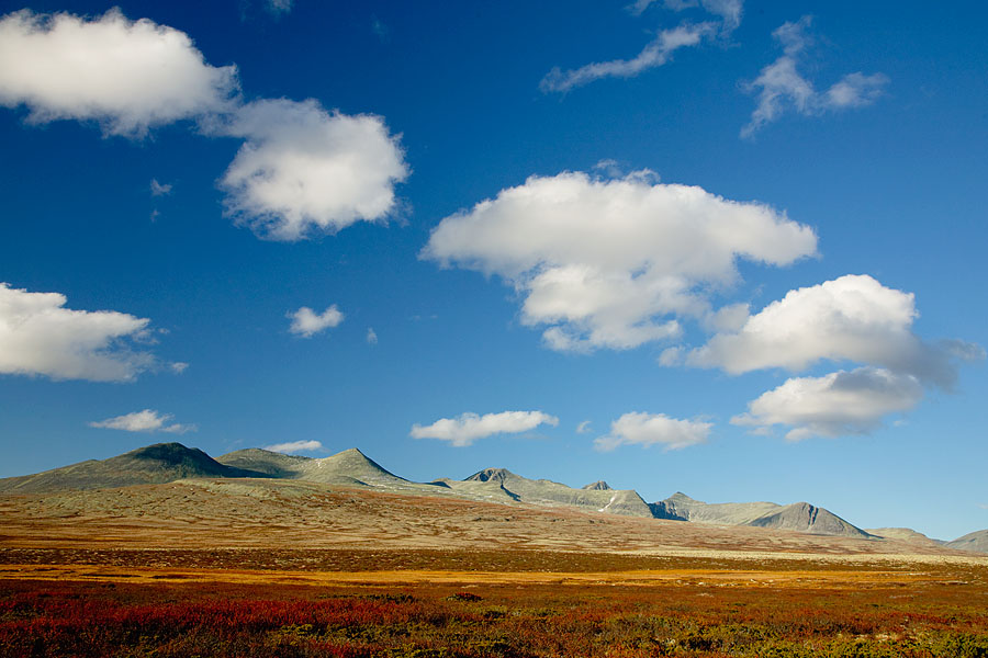 foto: Hillebrand Breuker | Rondane, Noorwegen.
