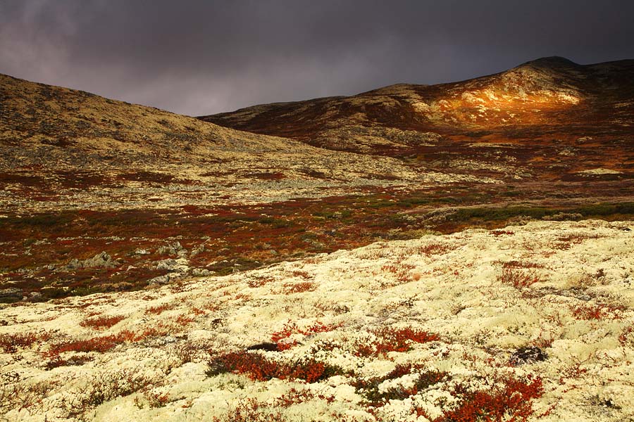 foto: Hillebrand Breuker | Rondane