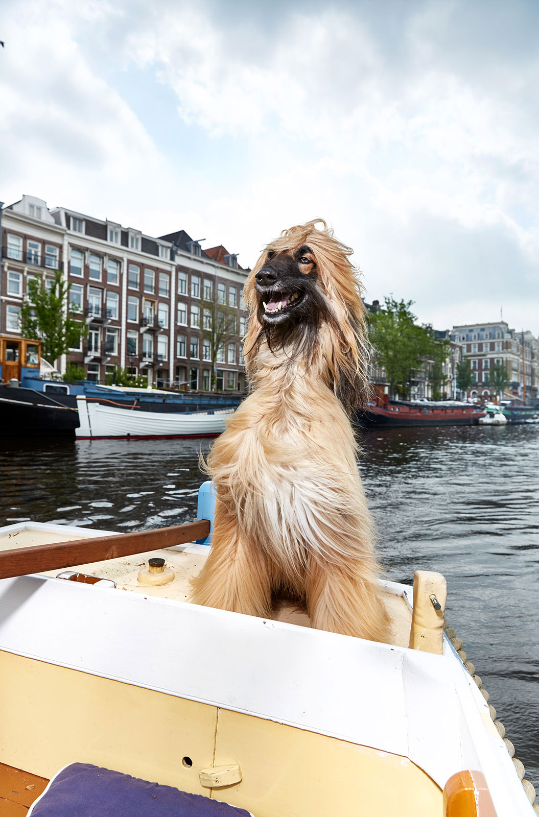 foto: © Isabella Rozendaal - Animalia