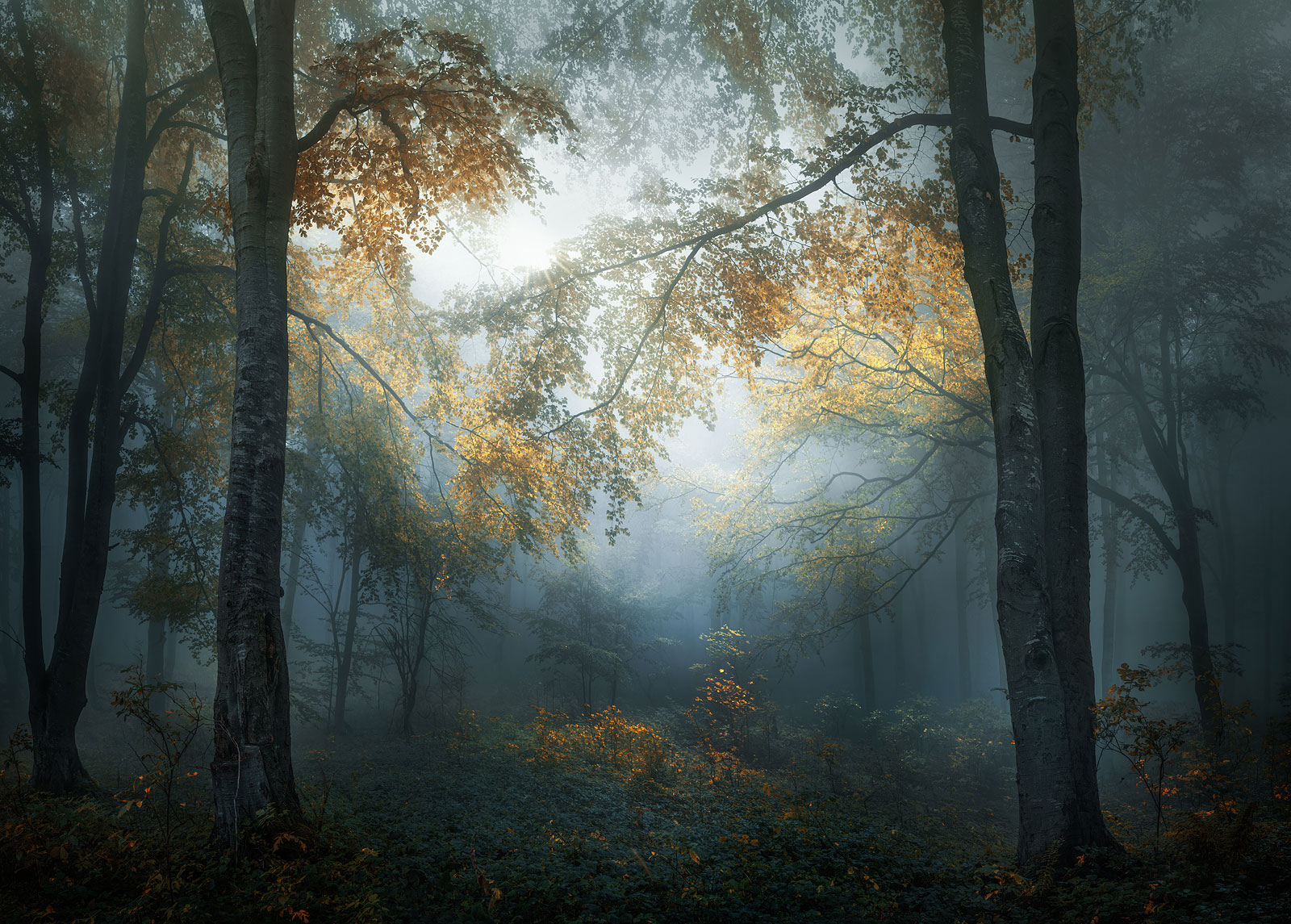 foto: © Veselin Atanasov, Bulgaria - Open, Landscape & Nature (2018 Open competition), Open Photographer of the Year, 2018, Sony World Photography Awards