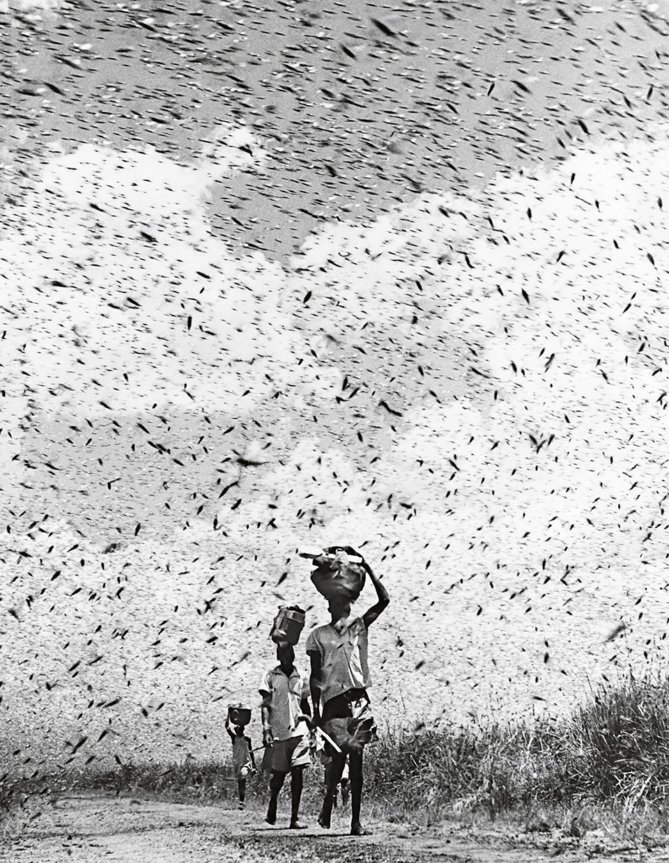 © National Geographic Society Image Collection and Archives - Gervas Huxley, Kenya, 1940s