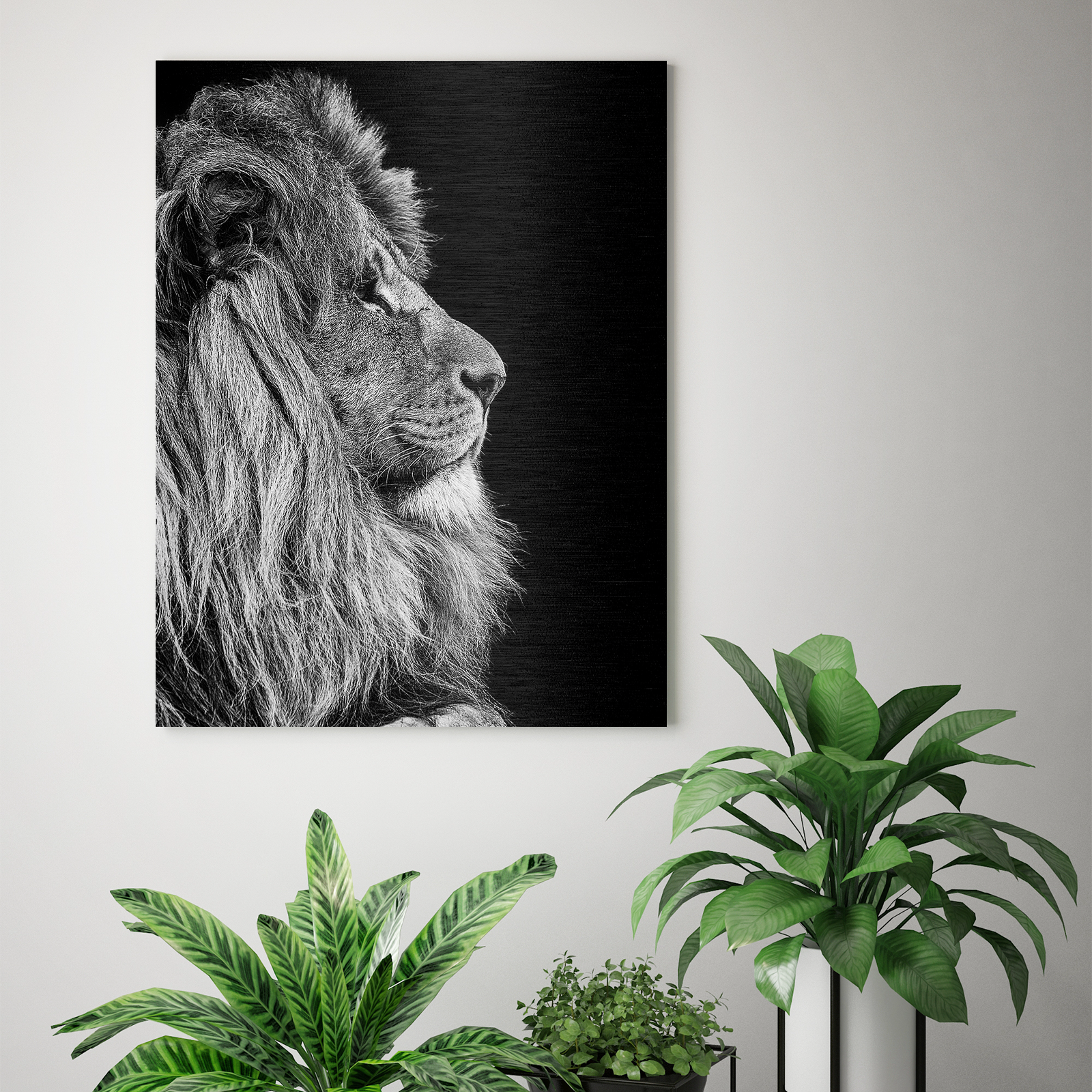 foto van leeuw aan de muur met kamerplanten erbij