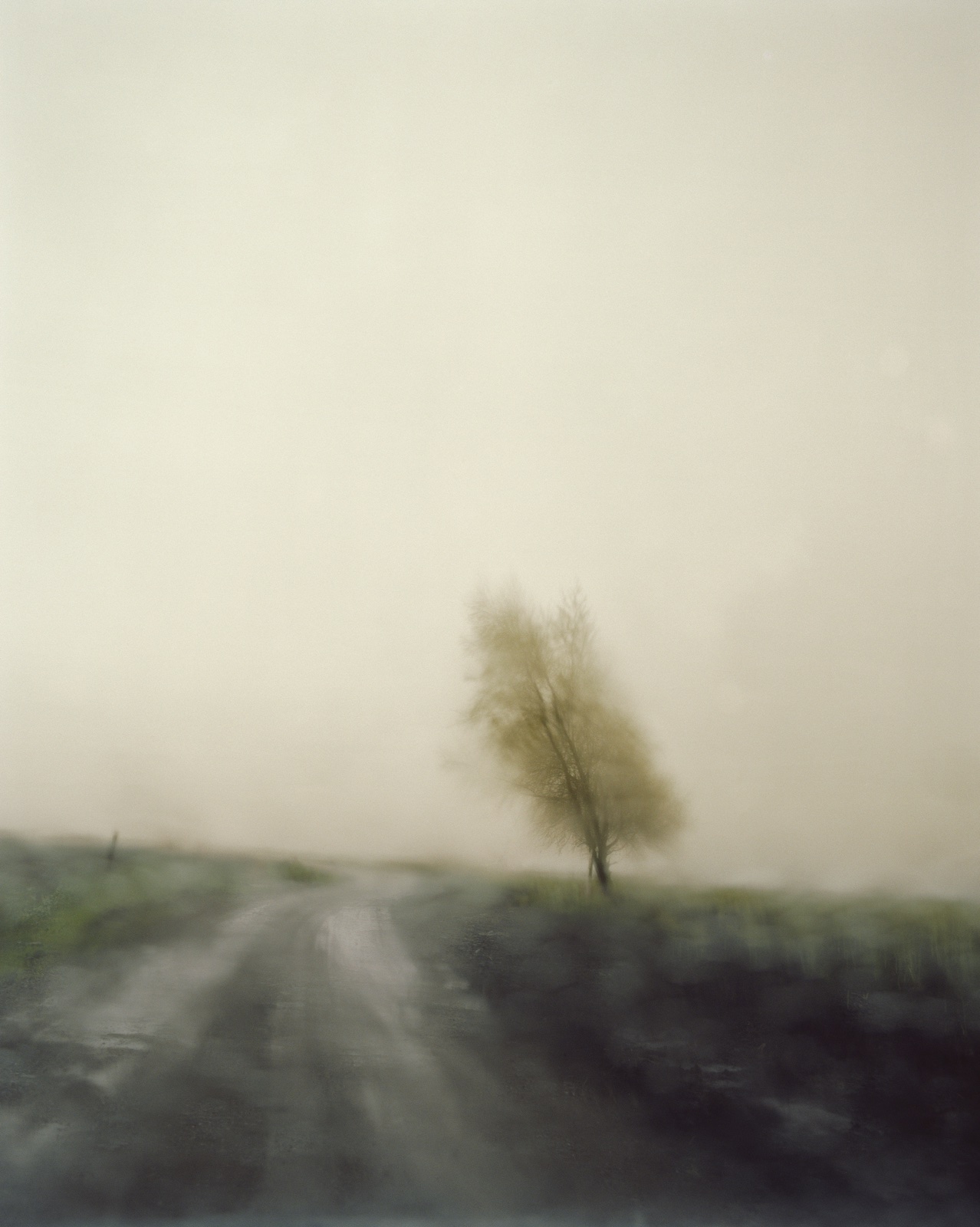 foto: © Todd Hido - Untitled #6405-8, 2007, vaag landschap met boom