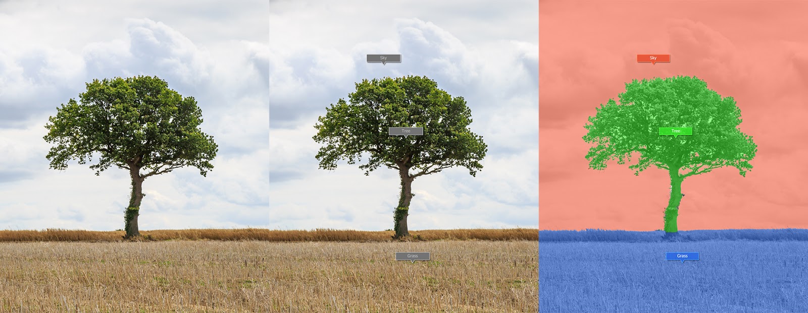 foto van drie beelden van bomen bewerking in LandscapePro 3