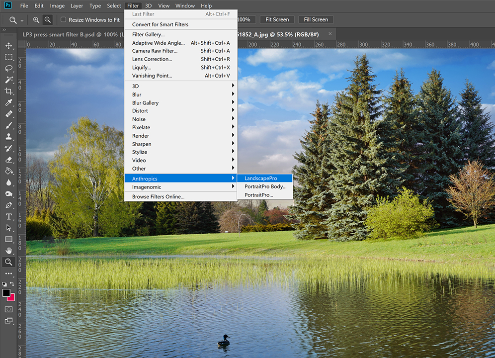 foto van beeldscherm met foto van bomen in bewerking in LandscapePro 3