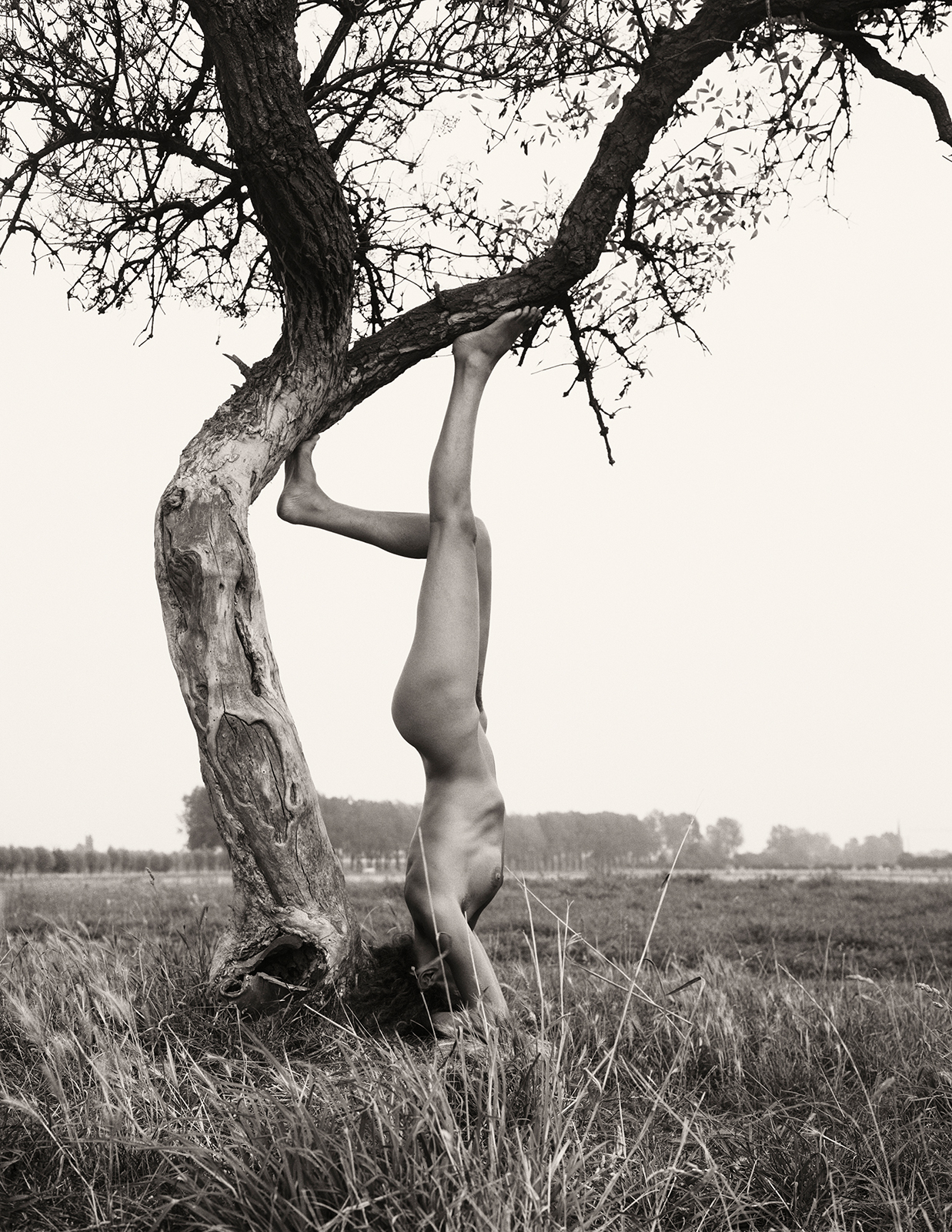 foto van naakte vrouw in handstand tegen een boom