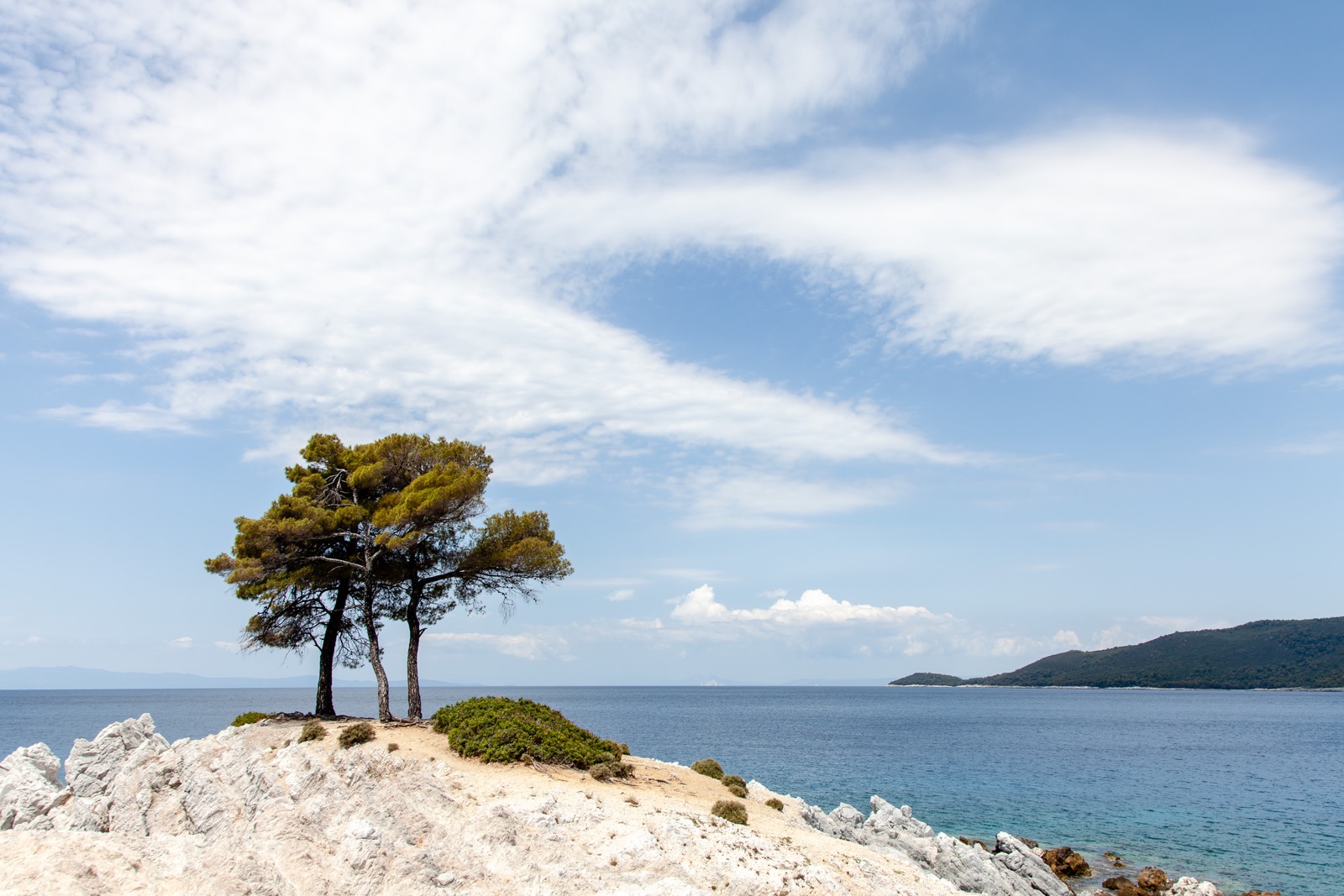 foto van Grieks eiland Skopelos, wat bomen op een wit gesteente bij de zee