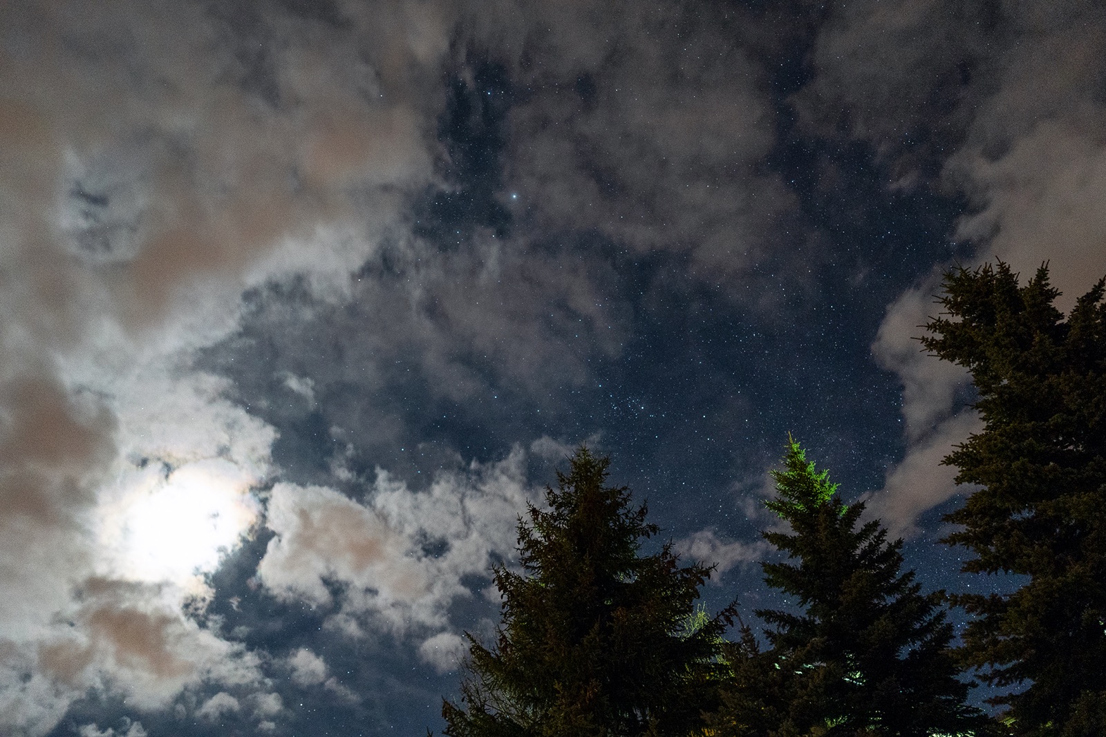 foto van lucht en bomen bij nacht waarbij je de melkweg ziet