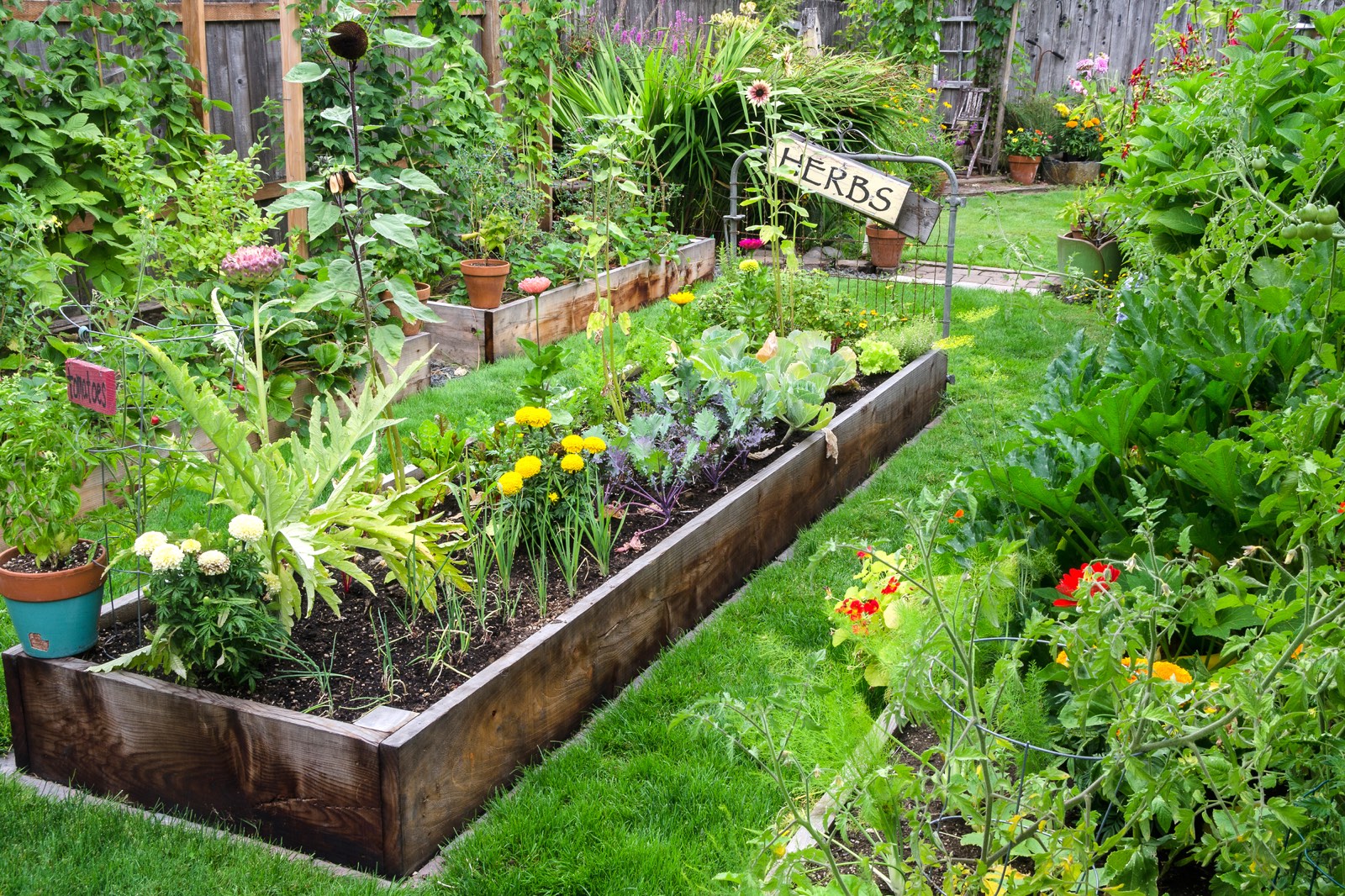 Tuin met moestuin erin