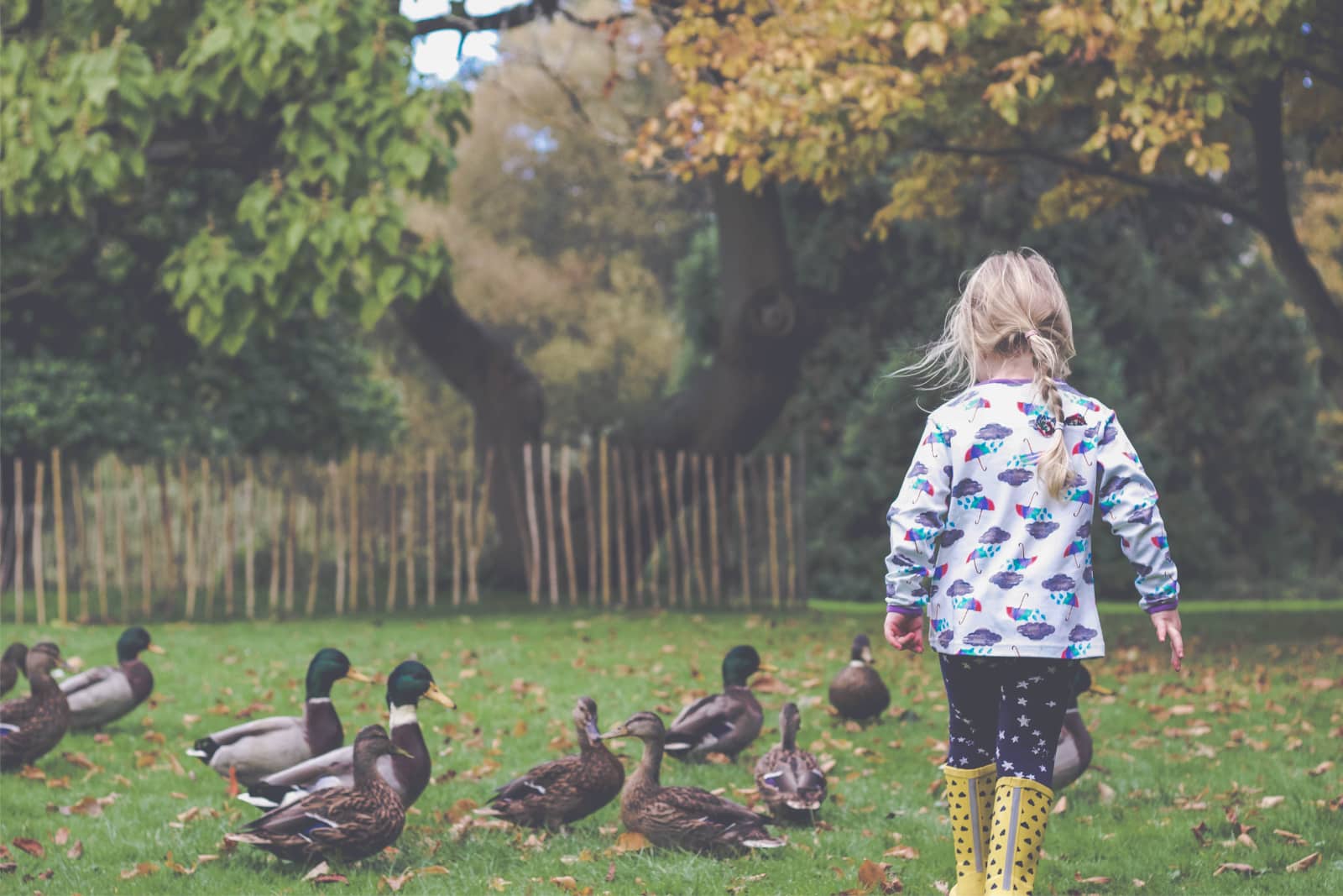 Klein meisje in tuin met eendjes door Hannah Harding