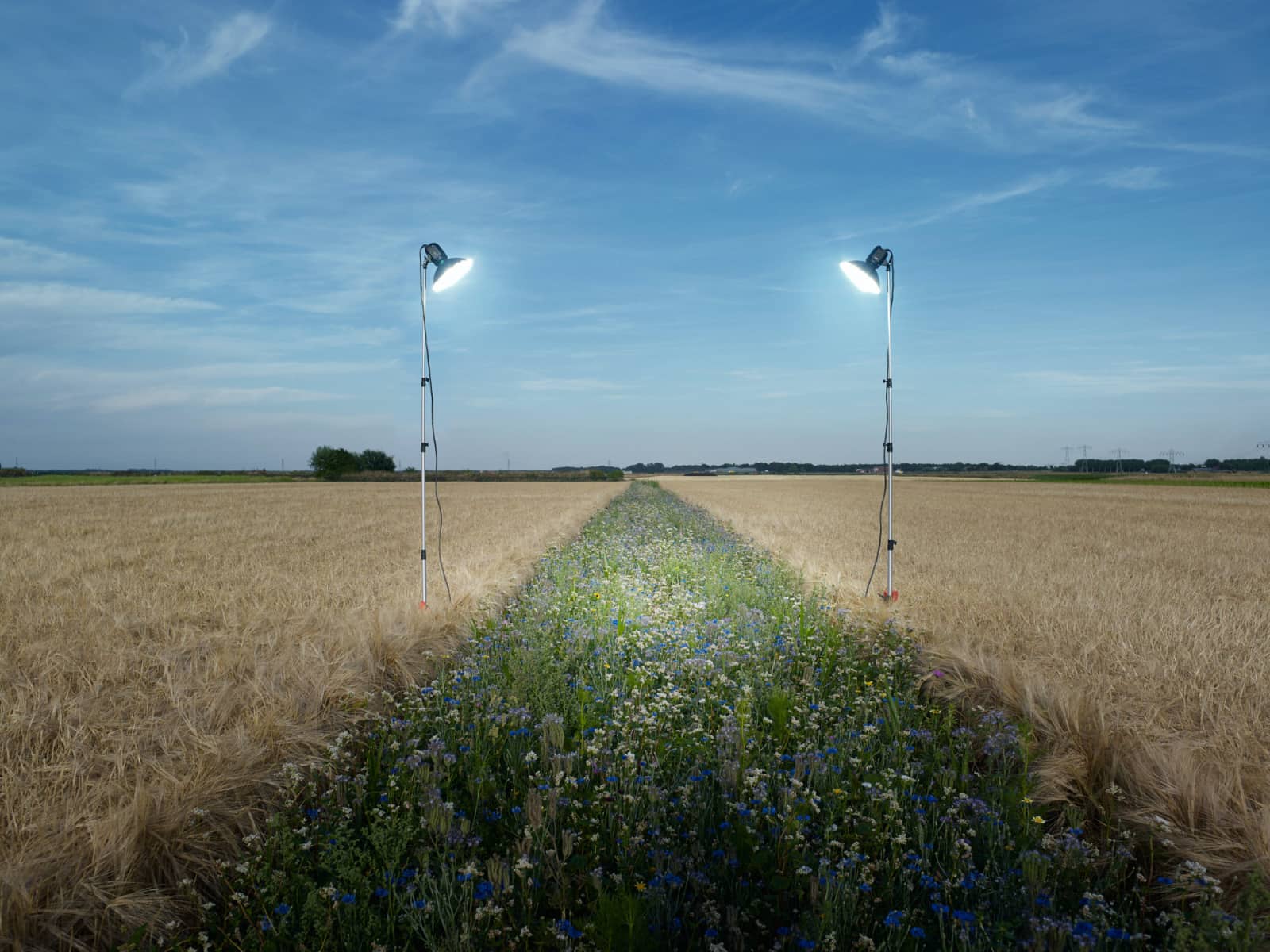 © eddo hartmann, Netherlands, Shortlist, Professional competition, Environment , 2020 Sony World Photography Awards