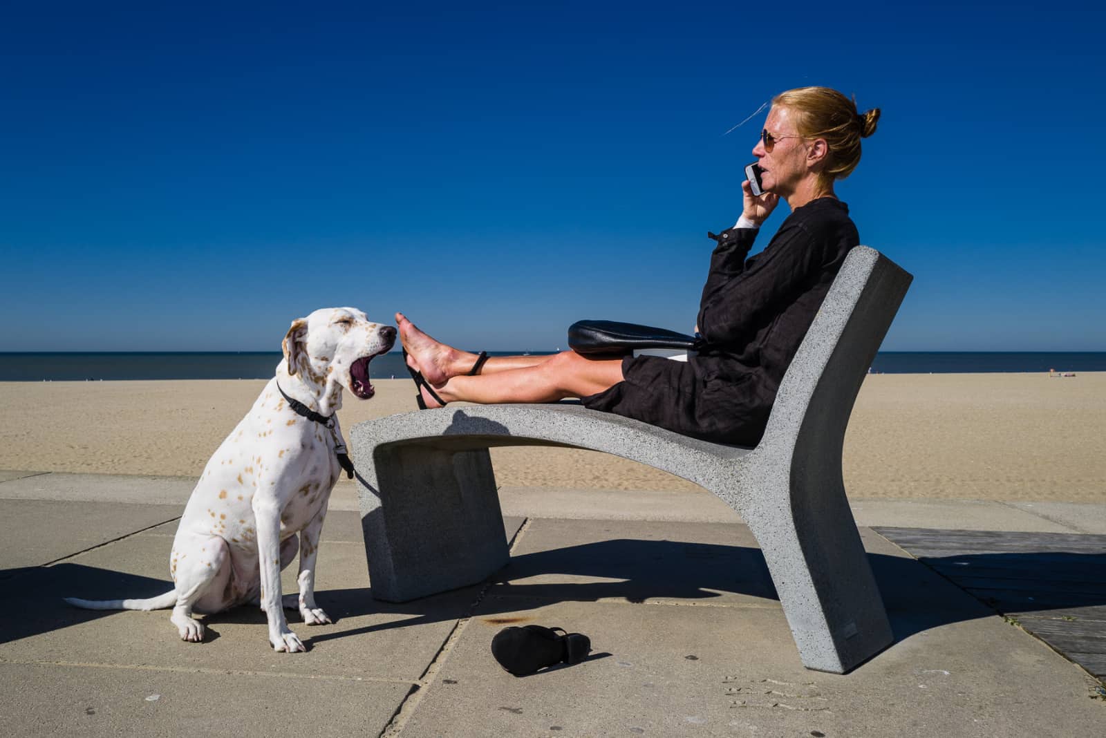 Vrouw met telefoon op stoel bijstrand en hond die gaapt bij haar voeten - Guido van der Zwan