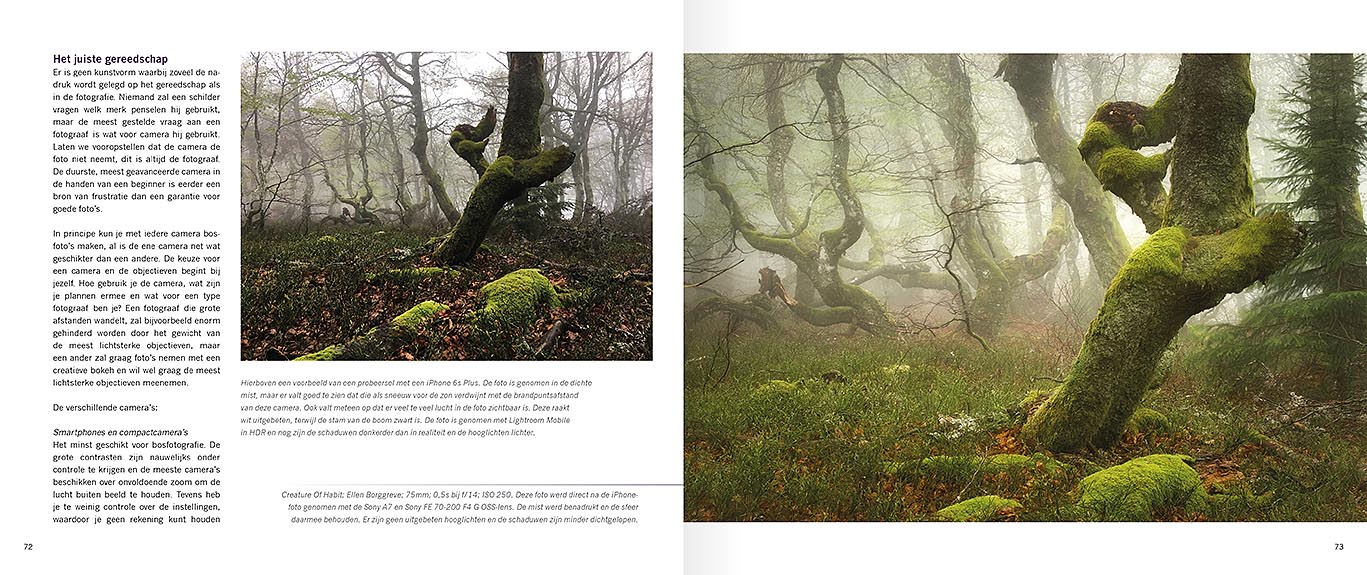 Handboek spectaculaire bosfotografie - Woodscapes, Ellen Borggreve, Daniël Laan, isbn 9789079588275