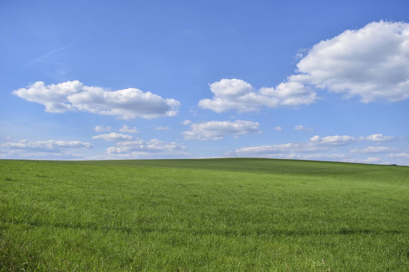 Grasveld met blauwe lucht en wolken door Michael Gaida