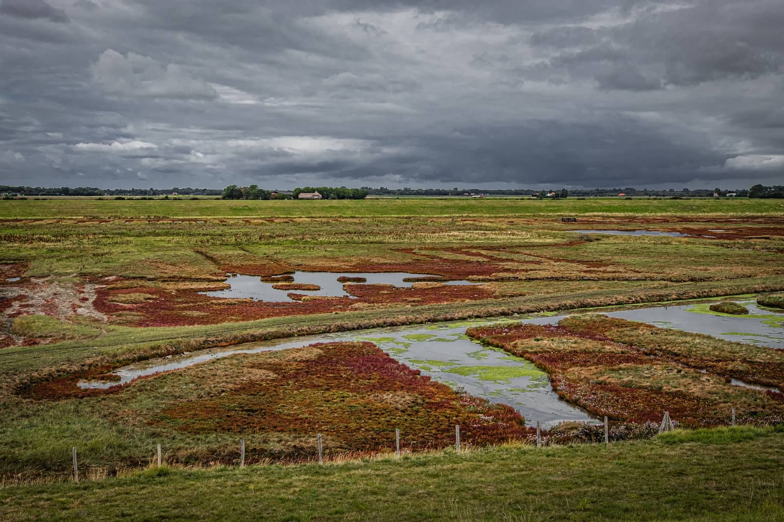 schelpenhoeck zeeland nederland
