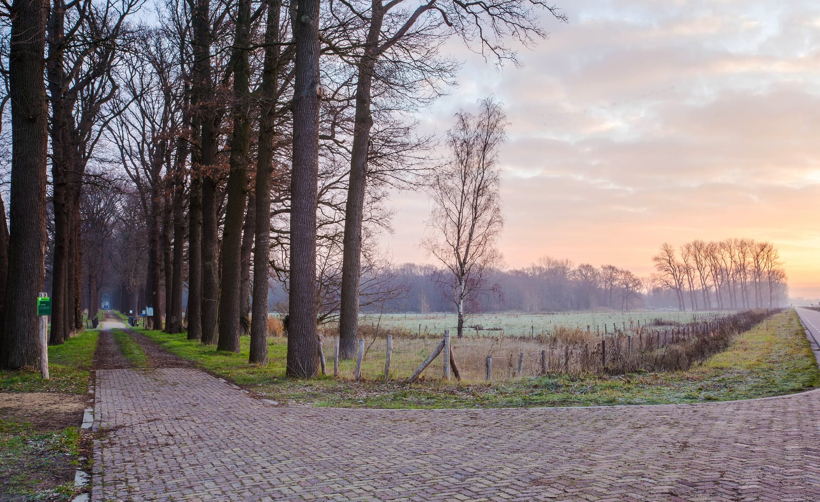 paden die scheiden in Hollands bos met zonsondergang