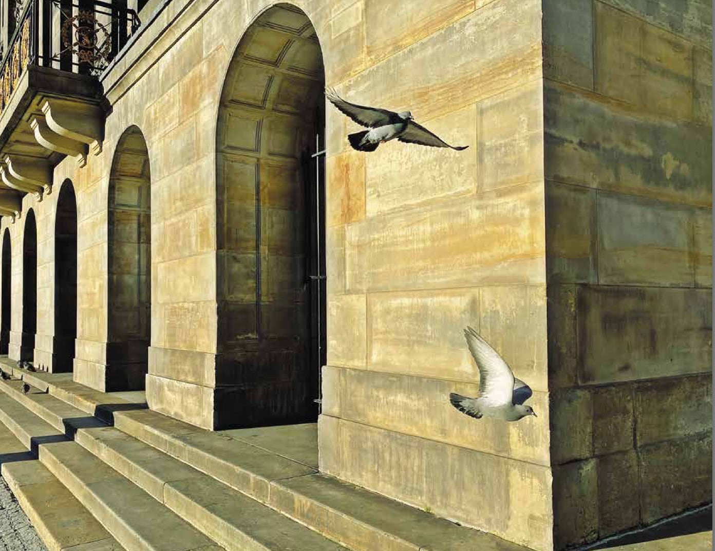 Foto van duiven bij het paleis uit: Het is stil in Amsterdam - Annet de Graaf, isbn 9789043922623