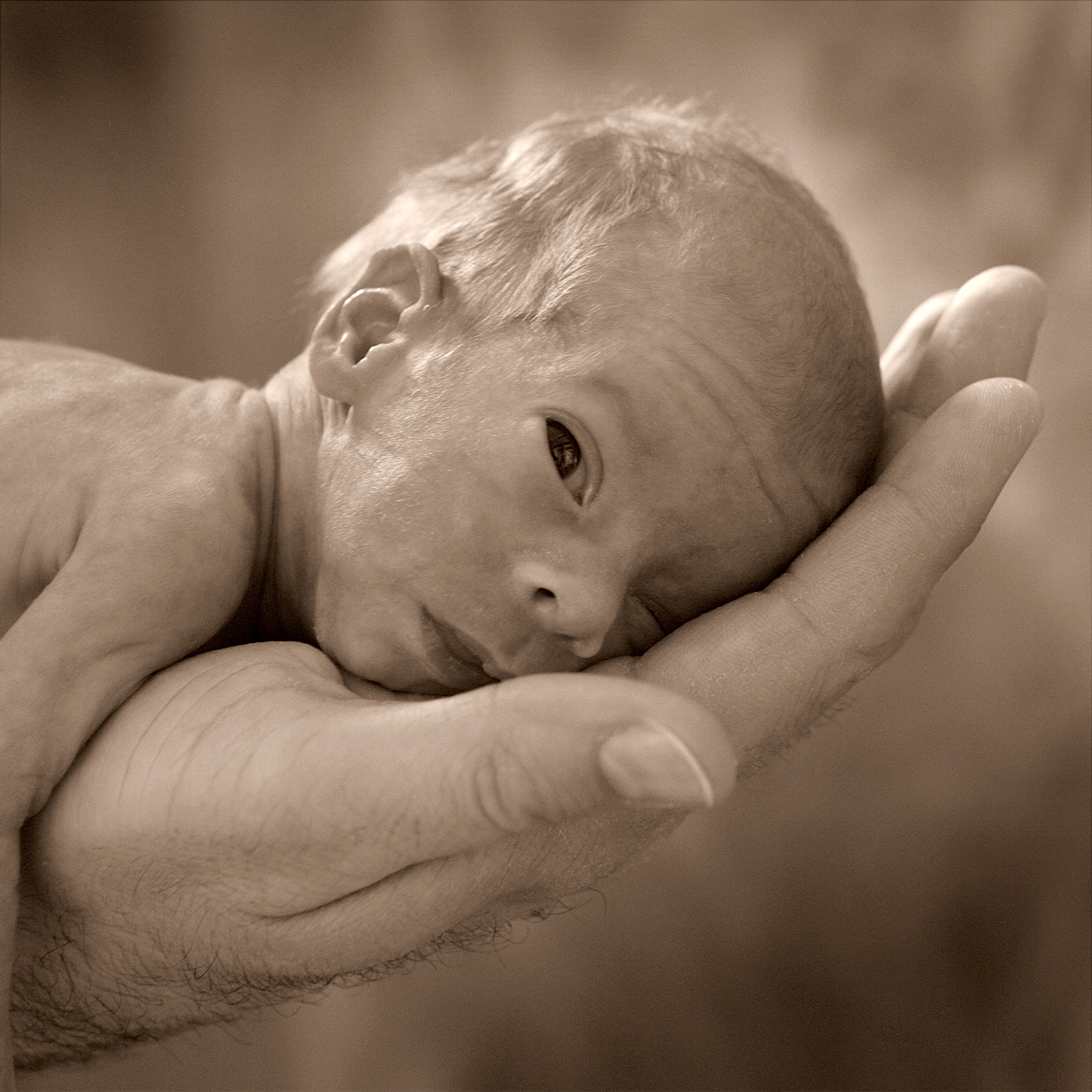 pasgeboren babyhoofdje op hand papa door fotograaf Alex de Smit