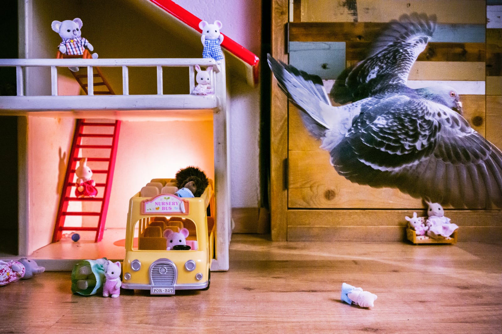 foto: © Jasper Doest - Pandemic Pigeons - A Love Story - genomineerd World Press Photo 2021
