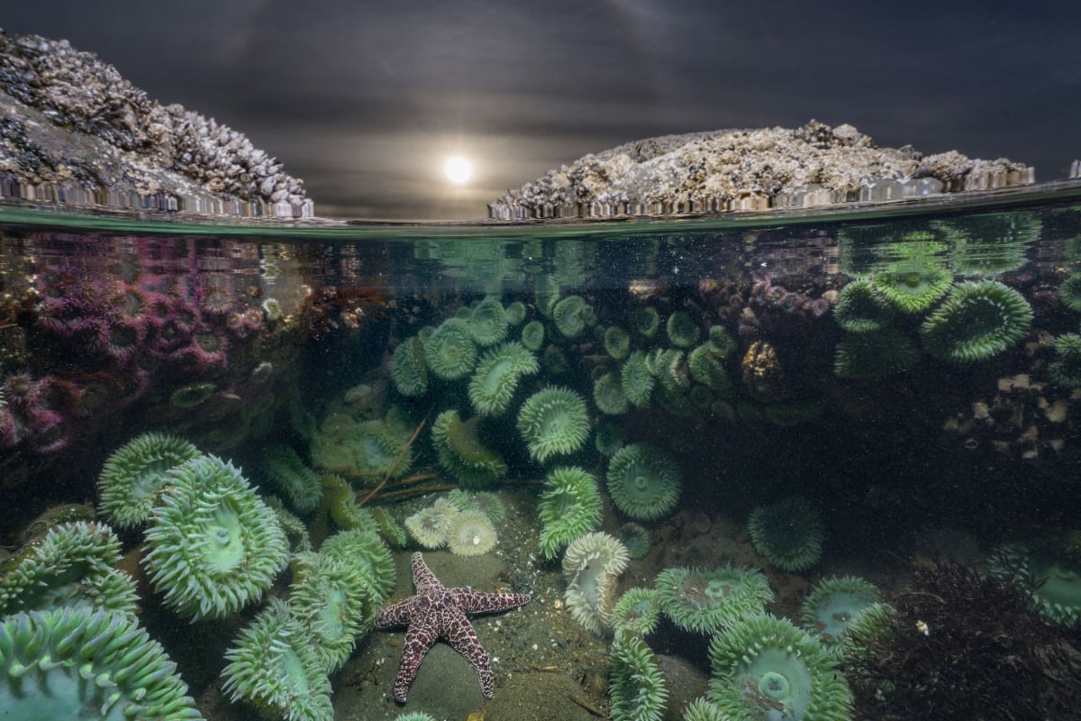 © Keith Ladzinski- Spectacle | National Geographic - Museon