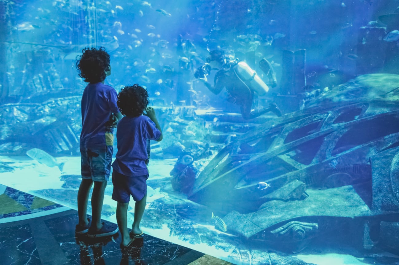 silhouettes-kids-big-aquarium