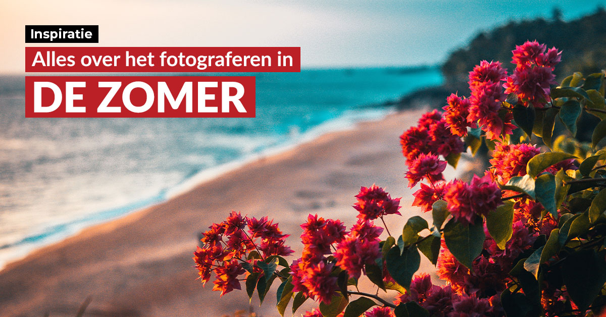 inspiratiebeeld zomerfotografie