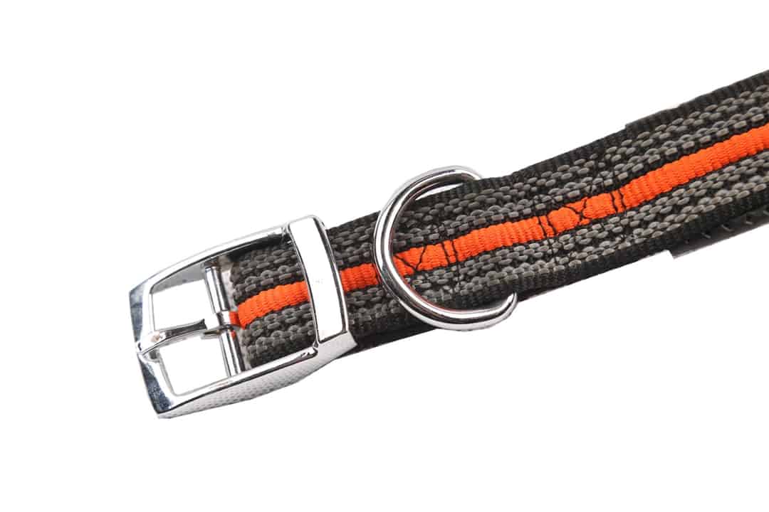 Large Dog Collar — Item 617883