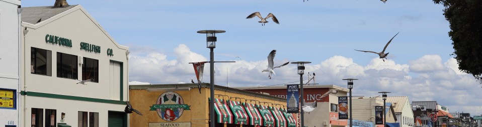city shot of monterey