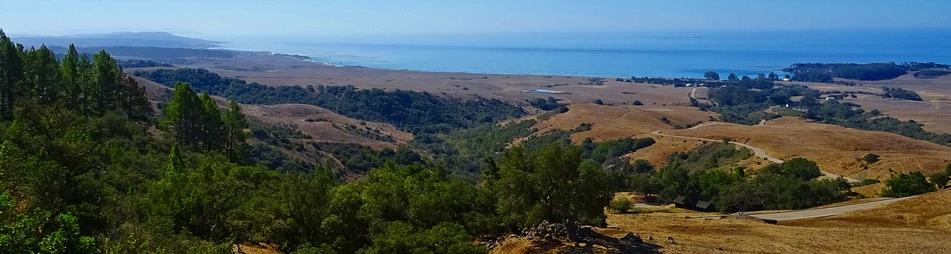 exploring the outdoors in monterey