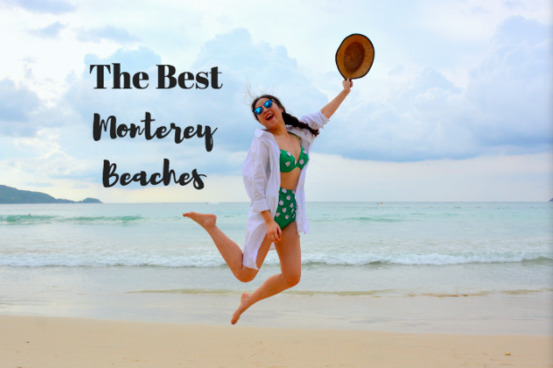 Best Beaches Monterey