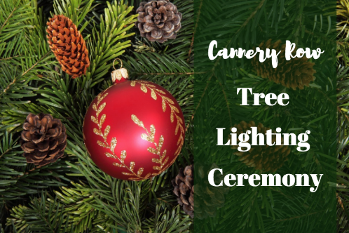 tree lighting in Monterey Ca